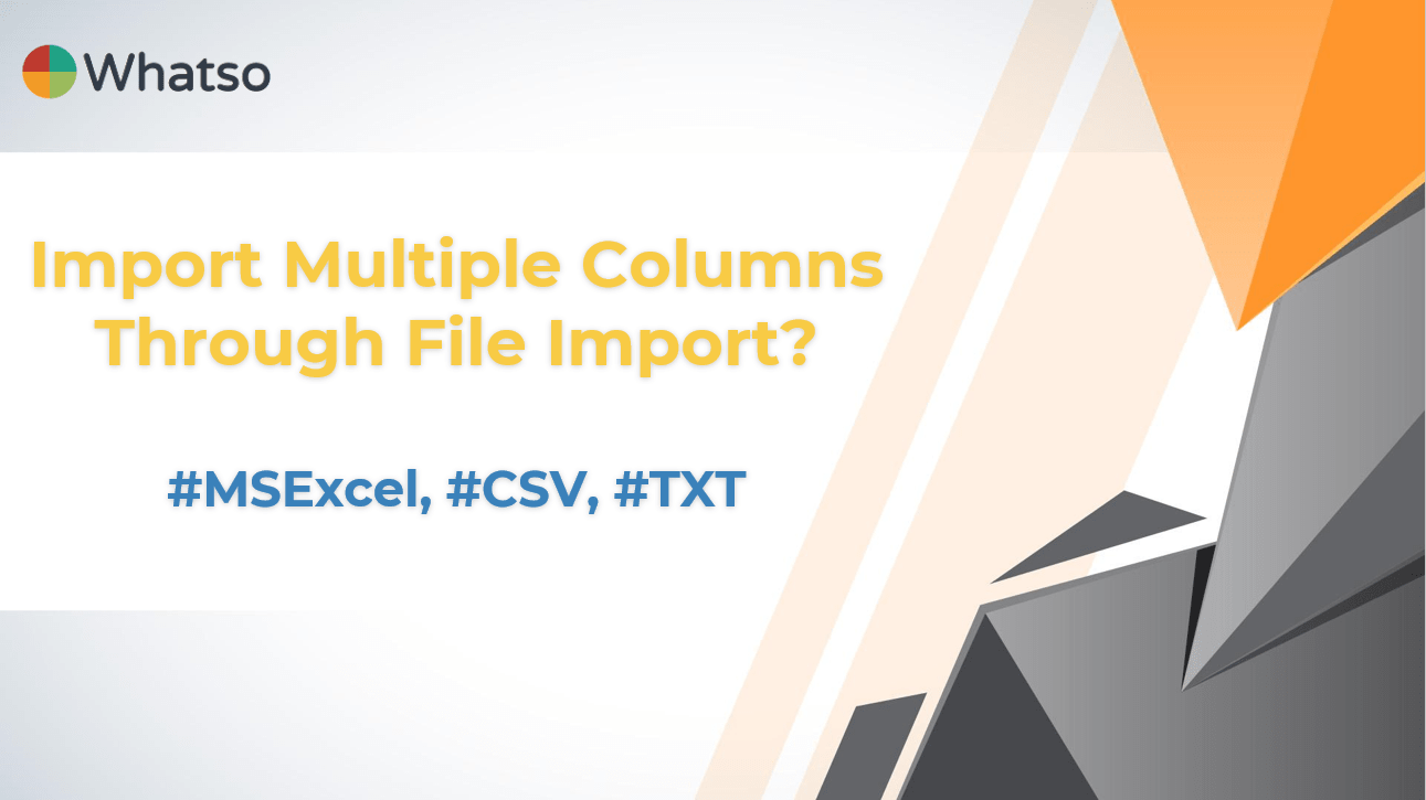 How to Import Multiple Columns Through File Import